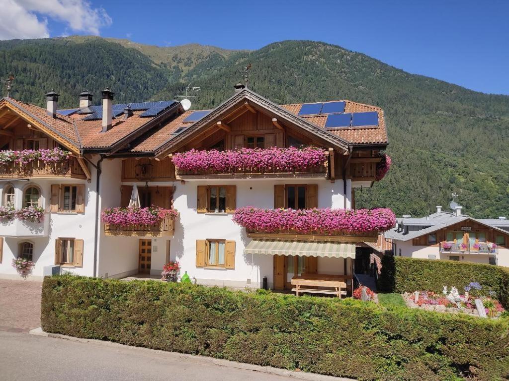 Appartamento Mansarda Patrizia E Franco Val Di Sole Commezzadura Exterior photo